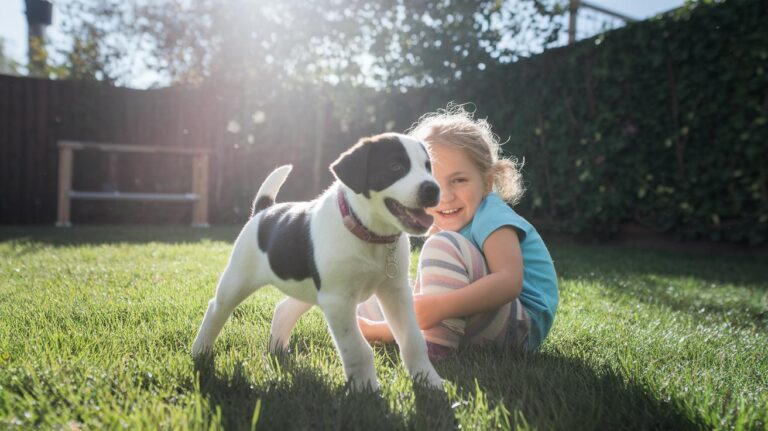 Understanding Puppy Behavior Sparks Joyful Pet Bond
