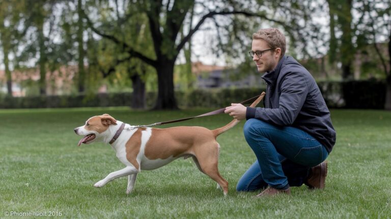 Common Mistakes In Leash Training Dogs: Smart Fixes
