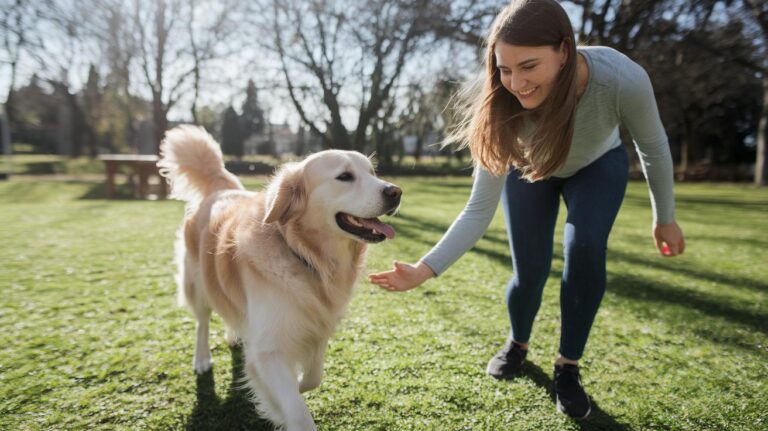 3 Routine Pet Exercise For Preventive Health Benefits