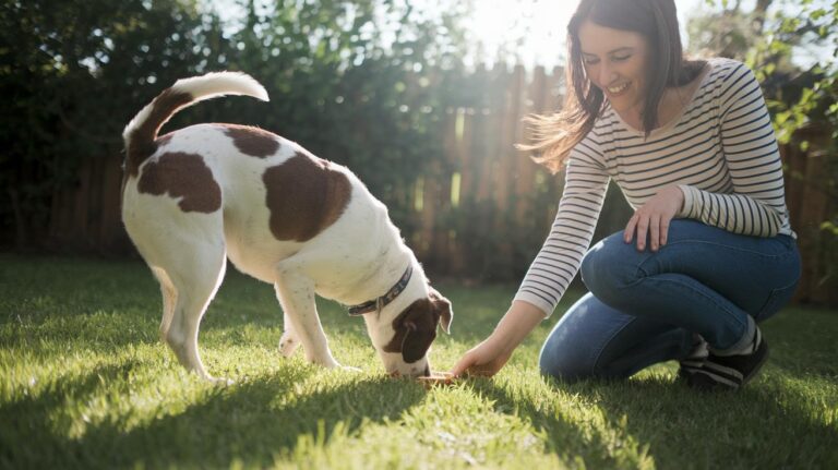 Pet Corrector: Spark Smiles With Smart Pet Behavior
