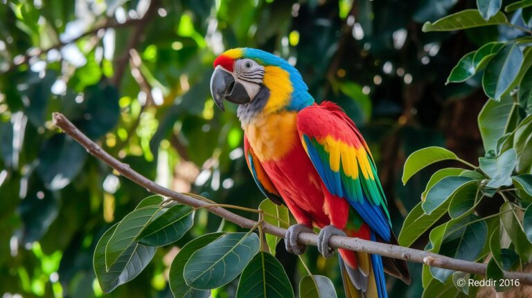 Preventive Care Tips For Exotic Pets: Radiant Wellbeing
