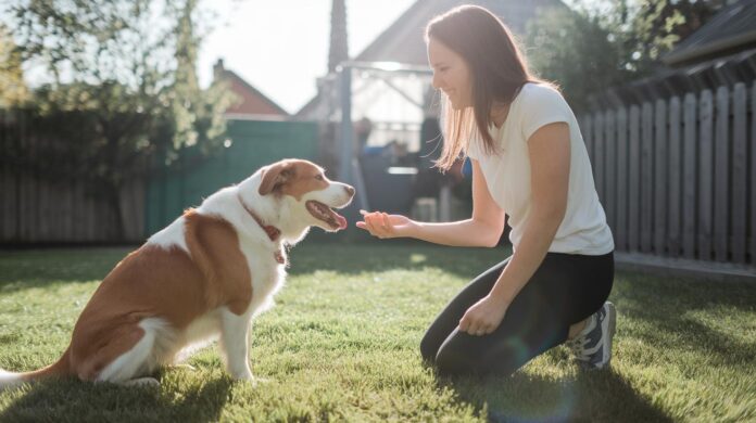 How-To-Reinforce-Good-Behavior-In-Pets-Thriving