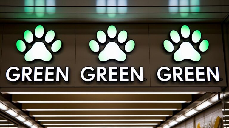 3 Top Green Pet Supply Companies Shine Bright